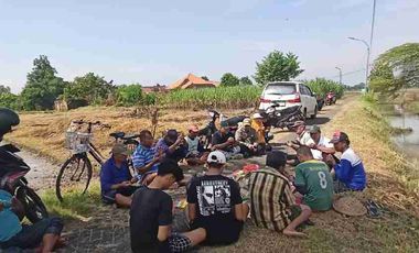 Tanah pekarangan siap bangun murah ukuran jumbo dibalongbendo sidoarjo