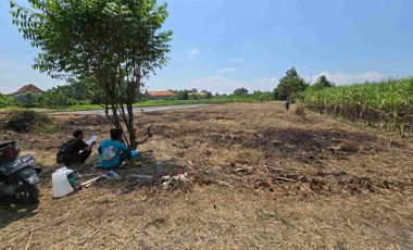 Tanah pekarangan siap bangun murah ukuran jumbo dibalongbendo sidoarjo