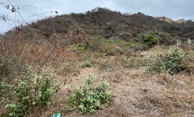 EN VENTA AMPLIO TERRENO DE 1653 M2 EN SAN CLEMENTE-MANABI