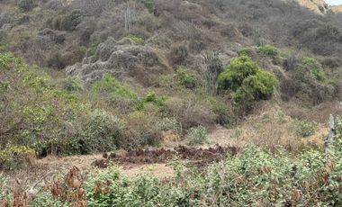 EN VENTA AMPLIO TERRENO DE 1653 M2 EN SAN CLEMENTE-MANABI