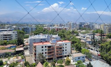 Depto Entre Ricardo Lyon Y Pedro Lautaro Ferrer