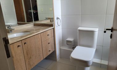 Depto Entre Ricardo Lyon Y Pedro Lautaro Ferrer