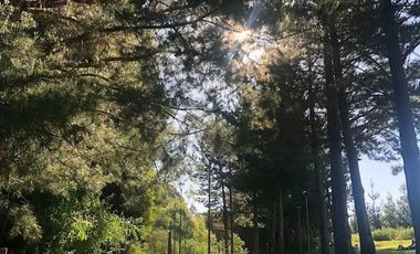 DEPARTAMENTO NUEVO EN TORREONES BELLAVISTA !!