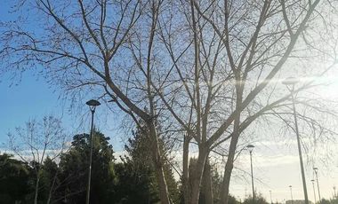 DEPARTAMENTO NUEVO EN TORREONES BELLAVISTA !!