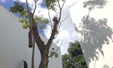 CASA EN RENTA LAGO NOGAL, 3 RECAMARAS, JARDIN, TRIPLE COCHERA Y ENORME ROOF GARDEN