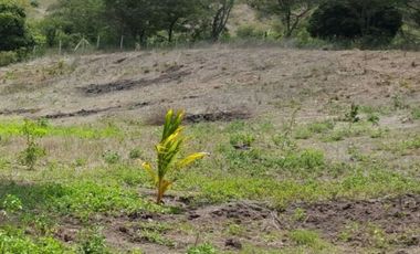 Lote de venta en yunguilla santa isabel, malapamba entrada a pata pata. a 1 hora de cuenca