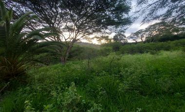 Lote de venta en yunguilla santa isabel, malapamba entrada a pata pata. a 1 hora de cuenca