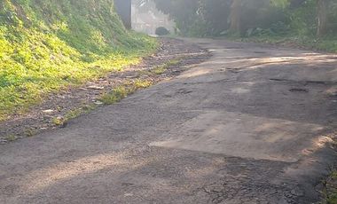 1800 M2 Tanah Kebun Pinggir Jalan, Sumur Bandung Cipatat, Bandung Barat.