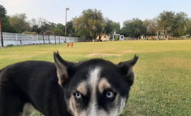 QUINTA EN VENTA EN JUAREZ, NUEVO LEON, ZONA FRESNILLO, TERRENO 6000 m2, A 10 MINUTOS DEL CRUCE AV ELOY CAVAZOS Y CARRETERA A SAN ROQUE, LÍMITES GPE NL