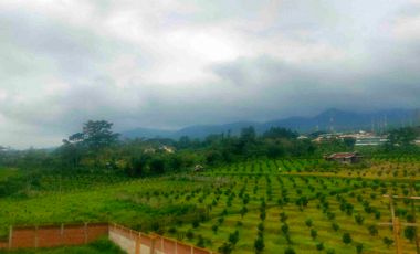 vila batu mulai 500jutaan dekat jatimpark 3