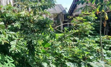 dijual rumah dan tanah pinggir jalan 420 meter