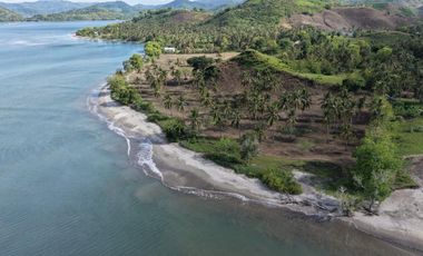 Sekotong Batu Putih Beachfront Land