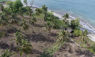 Sekotong Batu Putih Beachfront Land