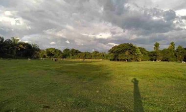 VENDO FINCA TAMALAMEQUE CESAR 263 HECTAREAS A 14 KM DE PELAYA
