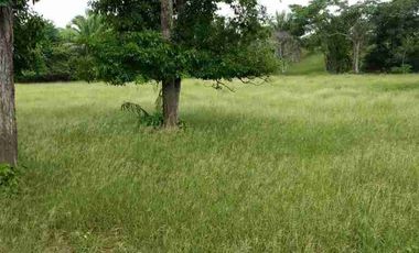 VENDO FINCA TAMALAMEQUE CESAR 263 HECTAREAS A 14 KM DE PELAYA