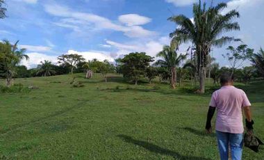 VENDO FINCA TAMALAMEQUE CESAR 263 HECTAREAS A 14 KM DE PELAYA