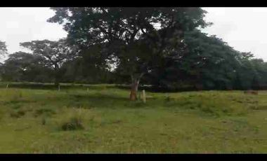 VENDO FINCA TAMALAMEQUE CESAR 263 HECTAREAS A 14 KM DE PELAYA