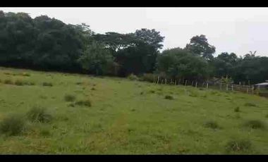 VENDO FINCA TAMALAMEQUE CESAR 263 HECTAREAS A 14 KM DE PELAYA