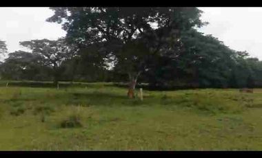 VENDO FINCA TAMALAMEQUE CESAR 263 HECTAREAS A 14 KM DE PELAYA