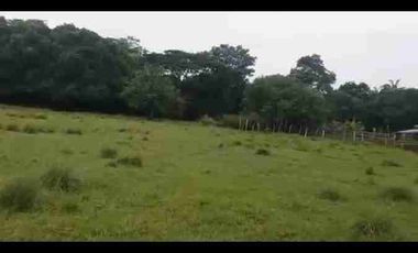 VENDO FINCA TAMALAMEQUE CESAR 263 HECTAREAS A 14 KM DE PELAYA