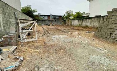 TERRENO DE VENTA EN  ISLA MOCOLI