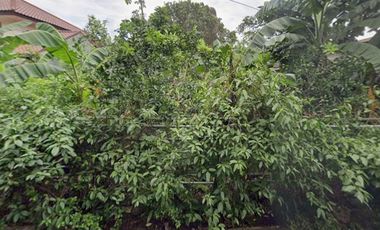 Dijual Tanah SHM Strategis di Beji Depok Harga Terbaik