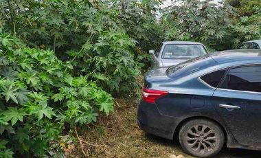 TERRENO CERCA DEL CENTRO DE TLAHUA COLONIA LA HABANA