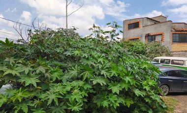 TERRENO CERCA DEL CENTRO DE TLAHUA COLONIA LA HABANA