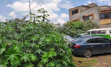 TERRENO CERCA DEL CENTRO DE TLAHUA COLONIA LA HABANA