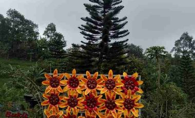 DIJUAL TEMPAT WISATA LENGKAP VILLA DAN KEBUN DURIAN BUKIT FLORA RAYA PASURUAN NEGO SAMPAI DEAL