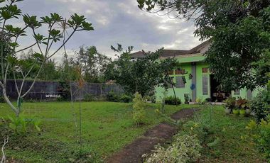 Jual Murah Rumah Villa 4 Kamar Batam Sekupang Di Shangril la