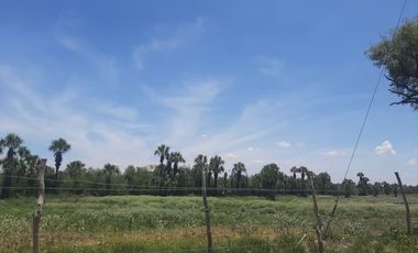 RANCHO EN VENTA EN CADEREYTA JIMENEZ, NUEVO LEON, ZONA EL SAUZ, TIERRA MUY FERTIL, ABUNDANTE AGUA, FLORA Y FAUNA, 90 HAS, CERCANO A CADEREYTA Y JUAREZ