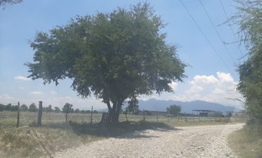 RANCHO EN VENTA EN CADEREYTA JIMENEZ, NUEVO LEON, ZONA EL SAUZ, TIERRA MUY FERTIL, ABUNDANTE AGUA, FLORA Y FAUNA, 90 HAS, CERCANO A CADEREYTA Y JUAREZ