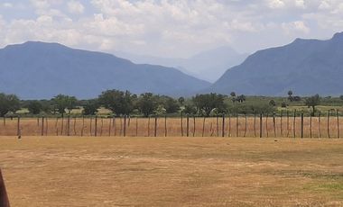 RANCHO EN VENTA EN CADEREYTA JIMENEZ, NUEVO LEON, ZONA EL SAUZ, TIERRA MUY FERTIL, ABUNDANTE AGUA, FLORA Y FAUNA, 90 HAS, CERCANO A CADEREYTA Y JUAREZ
