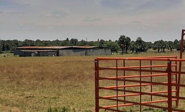 RANCHO EN VENTA EN CADEREYTA JIMENEZ, NUEVO LEON, ZONA EL SAUZ, TIERRA MUY FERTIL, ABUNDANTE AGUA, FLORA Y FAUNA, 90 HAS, CERCANO A CADEREYTA Y JUAREZ
