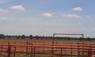 RANCHO EN VENTA EN CADEREYTA JIMENEZ, NUEVO LEON, ZONA EL SAUZ, TIERRA MUY FERTIL, ABUNDANTE AGUA, FLORA Y FAUNA, 90 HAS, CERCANO A CADEREYTA Y JUAREZ