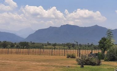 RANCHO EN VENTA EN CADEREYTA JIMENEZ, NUEVO LEON, ZONA EL SAUZ, TIERRA MUY FERTIL, ABUNDANTE AGUA, FLORA Y FAUNA, 90 HAS, CERCANO A CADEREYTA Y JUAREZ