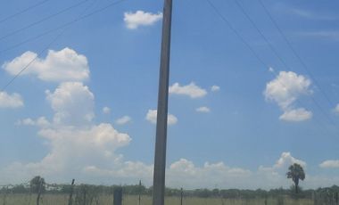 RANCHO EN VENTA EN CADEREYTA JIMENEZ, NUEVO LEON, ZONA EL SAUZ, TIERRA MUY FERTIL, ABUNDANTE AGUA, FLORA Y FAUNA, 60 HAS, CERCANO A CADEREYTA Y JUAREZ