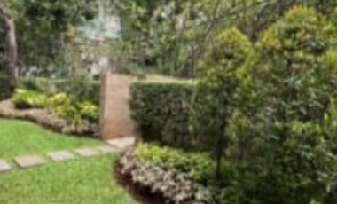 FOR SALE AND RENT House Bright House With Nice Lay-Out & Beautiful Garden