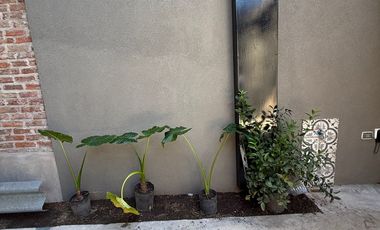 ALQUILER DEPARTAMENTO A ESTRENAR DOS AMBIENTES DE CATEGORIA A MEDIA CUADRA DE AV DE MAYO CON AMENETIES - RAMOS MEJIA