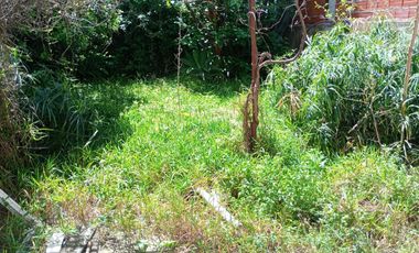 Local Casa Uso Comercial Alquiler Ramos Mejia