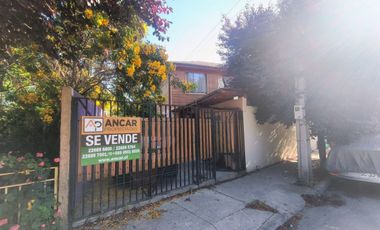 Marta Leiva Campos Sur 637