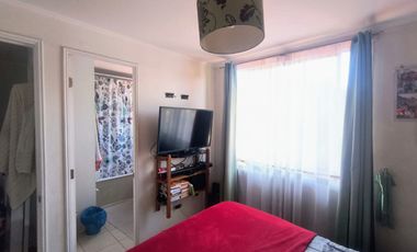 Marta Leiva Campos Sur 637