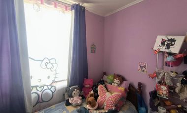 Marta Leiva Campos Sur 637