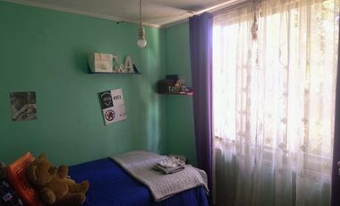 Marta Leiva Campos Sur 637