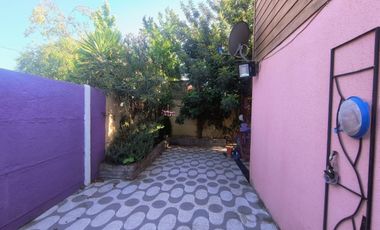 Marta Leiva Campos Sur 637