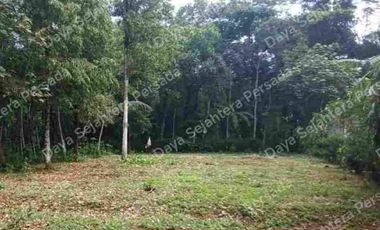 Tanah SHM dkt pemukiman subsidi