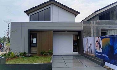 Dealsember Best Deal