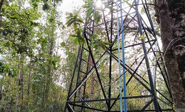 Parcela 1 hectárea con casa a orilla de carretera en Lican Ray