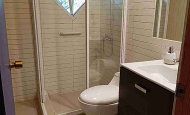 Parcela 1 hectárea con casa a orilla de carretera en Lican Ray